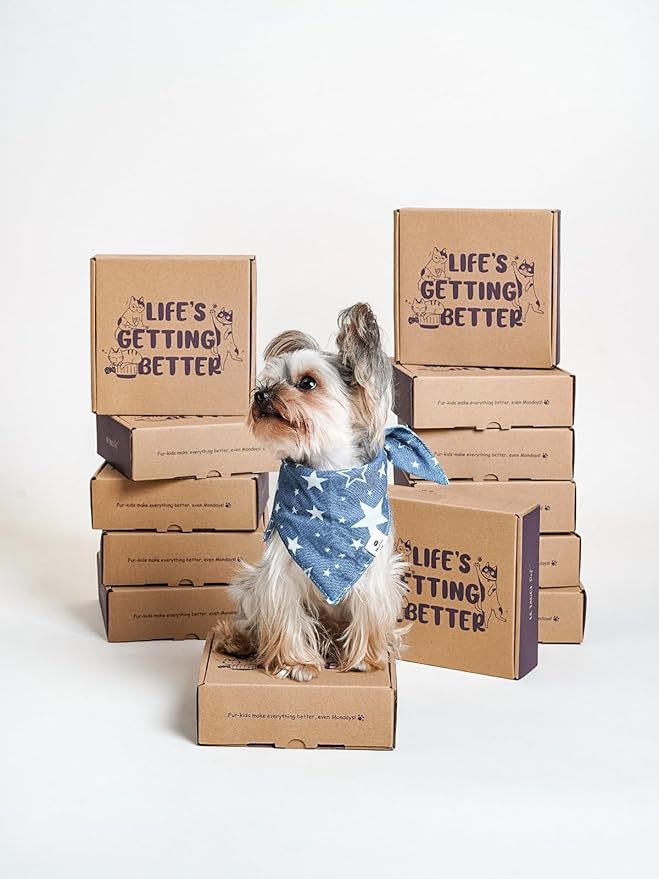 Ceramic Slow Feeder Dog Bowls Small Breed, 0.5 Cups Dog Food Dish for Fast Eaters, Puzzle Bowl for Small Dogs and Cats, 5.5 Inch-Yellow