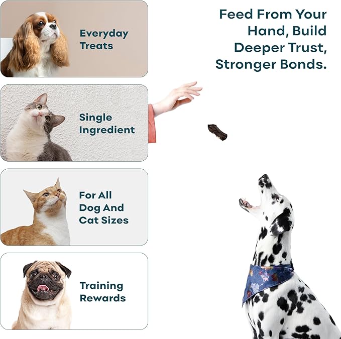 Skona PetFood Pork Heart Jerky Dog & Cat Treats, Single-Ingredient, High Protein Training Snacks, Natural & Healthy, USA Made, Rich in Nutrients, Supports Heart, Eye & Dental Health, 4oz