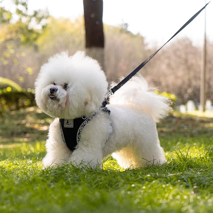 Dog Harness & Leash Set - No Pull Soft Breathable Small Dog Harness, Adjustable Reflective Step-in Vest for Puppy, Kitten, Cats