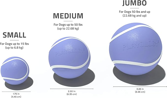 Playology Dog Toys | Squeaky Chew Ball - Bouncy Durable Floating Fetch Ball for Dogs | Jumbo Blueberry Scented Toy - Easy to Clean and Made from Non Toxic Materials