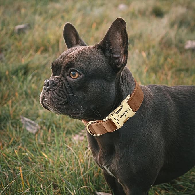 Personalized Velvet Dog Collar with Name & Phone, Multi-Color Options, Metal Quick-Release Buckle, Soft & Stylish (Style-D)