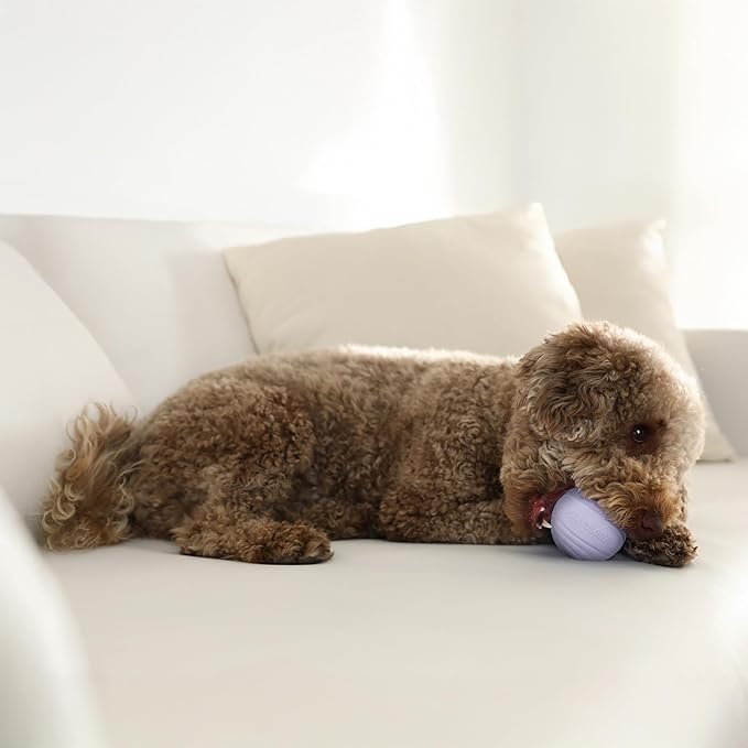 Playology Dog Toys | Dual Layer Ball Durable Chew Toy for Aggressive Chewers | Medium Lamb Scented Toy - Easy to Clean and Made from Non Toxic Materials