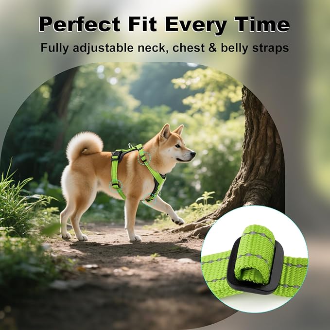 Plutus Pet Adjustable No Pull Dog Harness with Leather Accents, Heavy Duty Reflective Nylon Vest for Training, Hiking, Easy Walk Harness for Small, Medium, Large Dogs (Green, XL)
