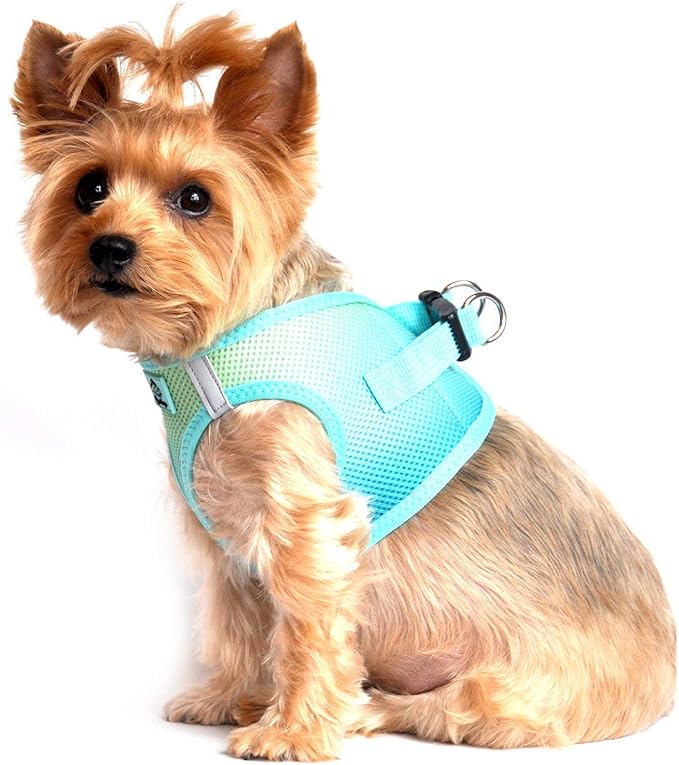 Doggie Design No Choke Dog Harness - Simple Step-in and Go Dog Vest for Small, Medium, and Large Breeds - Breathable Mesh Polyester Pet Harness - Aruba Blue - XL