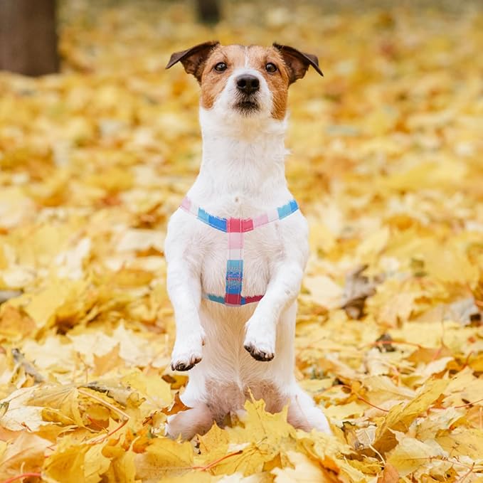 PUPTECK No Pull Dog Harness Soft Adjustable Basic Nylon Step in Puppy Vest Outdoor Walking with ID Tag, Striped Pink, M