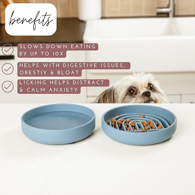 Should We Go? Slow Feeder for Dogs & Cats, The Slowdown Bowl Silicone Slow Eating Mealtime Solution with Modern Lick Mat Design, Reduces Gulping, Fits 1 Cup, 6” Across x 1.25” Tall, Small-Spruce