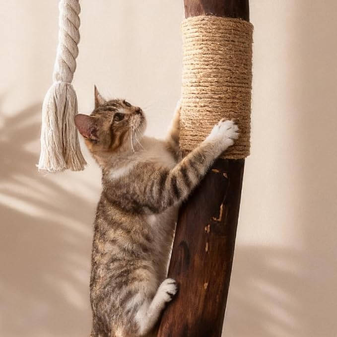 Modern Cat Tree Tower for Indoor Cats, Natural Solid Wooden Branch with Sisal Scratching Post, Log Hardwood for Char-Grilling, Style Cat Furniture with Perches Platform & Toy Ball