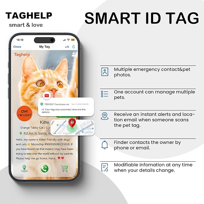 Smart QR Code Cat Collar - 2 Pack Breakaway Safety Collar with Online ID Profile, Reflective, Glow in The Dark & AirTag Holder for Kitten, Cats - Adjustable, Bell Included (Black)