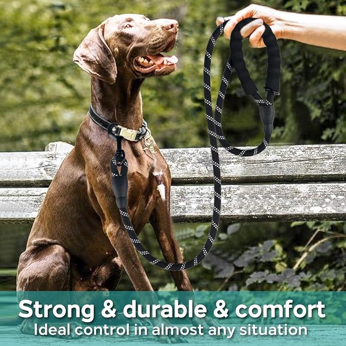 COOYOO Dog Leash 5/6 FT with Comfortable Padded Handle and Highly Reflective Threads for Small Medium and Large Dogs