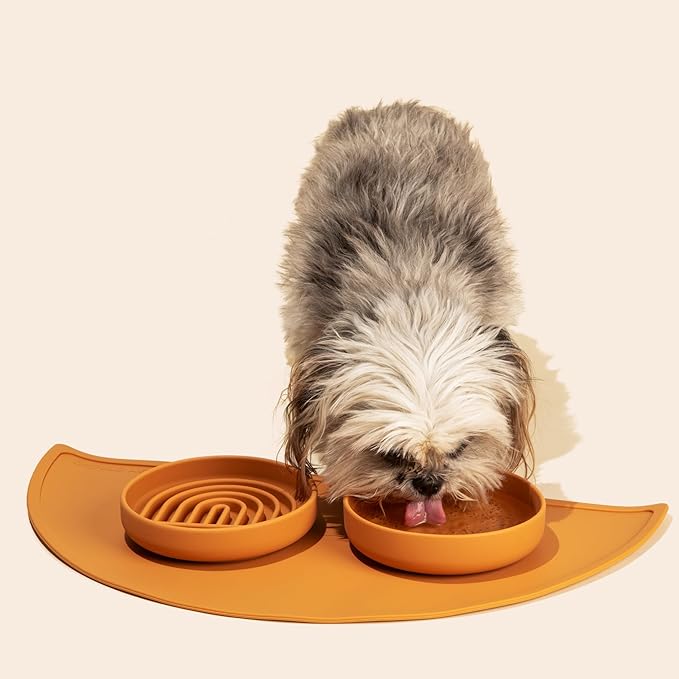 Should We Go? Slow Feeder for Dogs, The Slowdown Bowl Silicone Slow Eating Mealtime Solution with Modern Lick Mat Design, Reduces Gulping, Fits 1 Cup, 6” Across x 1.25” Tall, Small-Tan