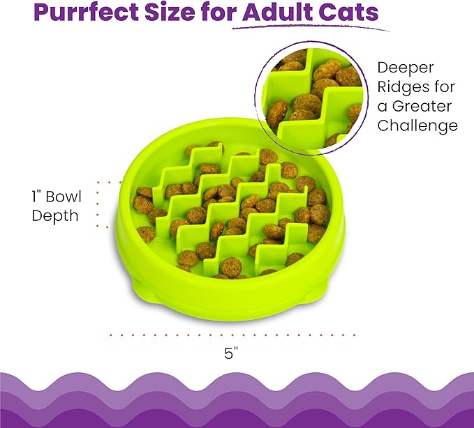 Catstages Kitty Slow Feeder Bowl for Cats & Small Dogs, Puzzle Dish for Fast Eaters, for Wet or Dry Food, Helps Slow Eating & Aid Digestion, Non-Slip, Made Without BPA, 3/4 Cup, 5-Inch, Green