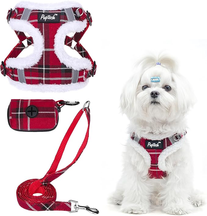 PUPTECK Dog Harness and Leash Set Small Sized, Step in No Pull Adjustable Puppy Cat Harness Reflective Pet Vest