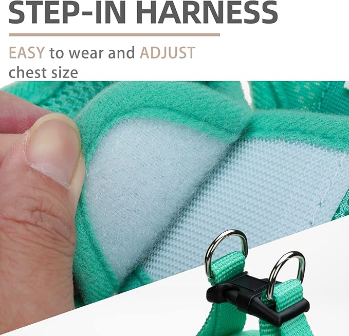 PUPTECK Adjustable Dog Harness Collar and Leash Set Step in No Pull Pet Harness for Small Medium Dogs Puppy and Cats Outdoor Walking Running, Soft Mesh Padded Reflective Vest Harnesses, Solid Green S