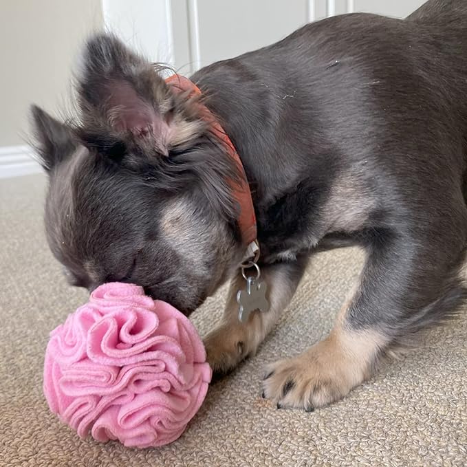 Glory To Dog Puppy and Small Breed Snuffle Interactive Foraging Dog Puzzle Ball Toy Pink