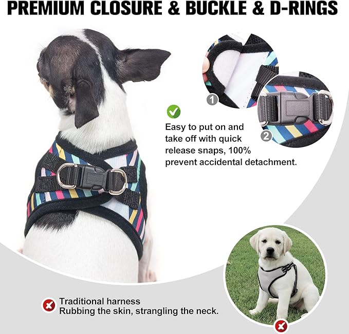 BEAUTYZOO Dog Harness and Leash Set for Small Dogs,No Pull Step-in Harness for Puppy XS S Sized Dogs and Cats,Air Mesh Adjustable Breathable Soft No Choke Escape Proof Vest Harnesses,Striped Teal XXS