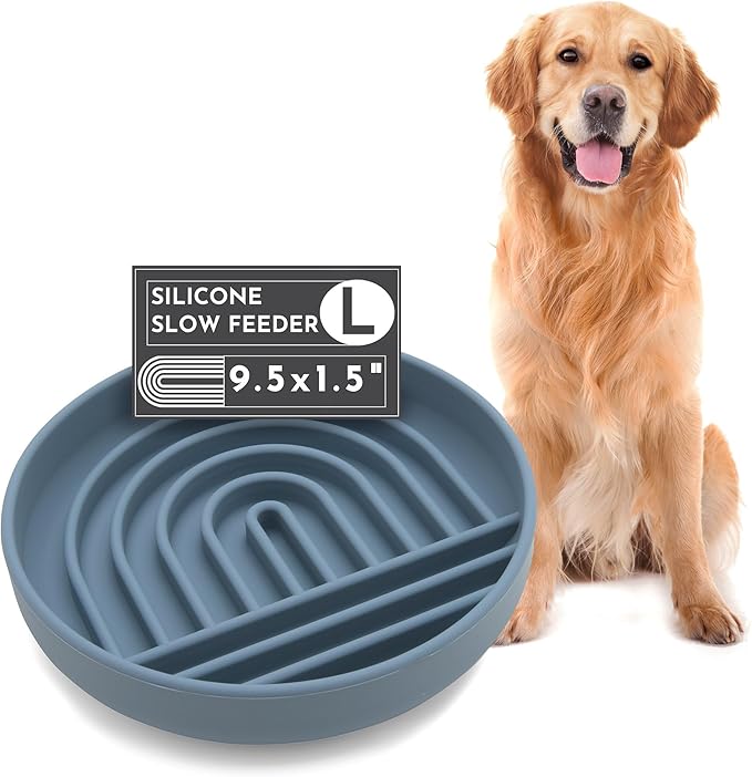 Should We Go? Slow Feeder for Dogs & Puppies, The Slowdown Bowl Silicone Slow Eating, Modern Lick Mat Design, Reduces Gulping, Fits 2.5 Cups, 9.5” Across x 1.5” Tall, Mealtime Challenge, Large-Ocean