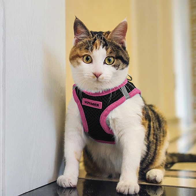 Voyager Step-in Air All Weather Mesh Harness and Reflective Dog 5 ft Leash Combo with Neoprene Handle, for Small, Medium and Large Breed Puppies by Best Pet Supplies - Black/Pink Trim, Small