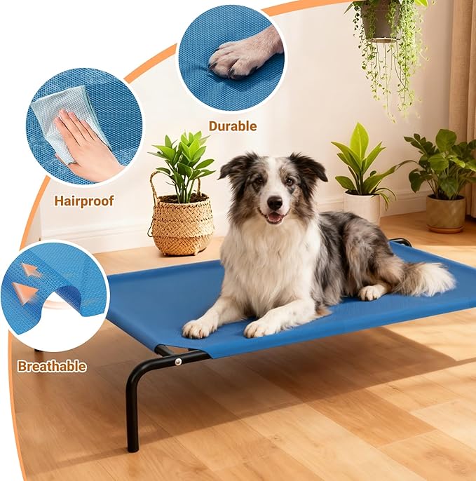 Elevated Dog Bed Waterproof Outdoor Pet Cot Cooling Dog Cot, Raised Bed for Large Dogs with Washable Breathable Mesh, No-Slip Feet, 50.8 x 31 x 8 inches, Blue