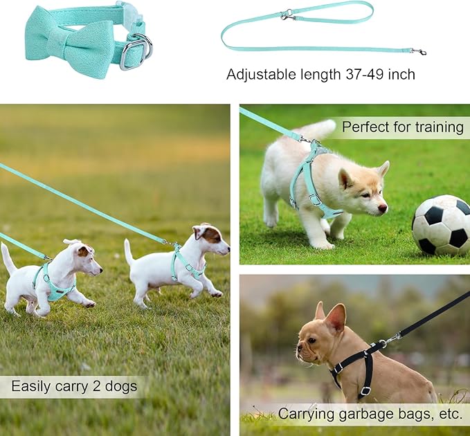 Dog Harness and Leash Set, XXS No Pull Adjustable Puppy Harness with Multifunction Pink Dog Leash and Dog Collar, Soft No Choke Escape Proof Pet Harness Vest for Small Dogs and Cats (Mint Green, XXS)