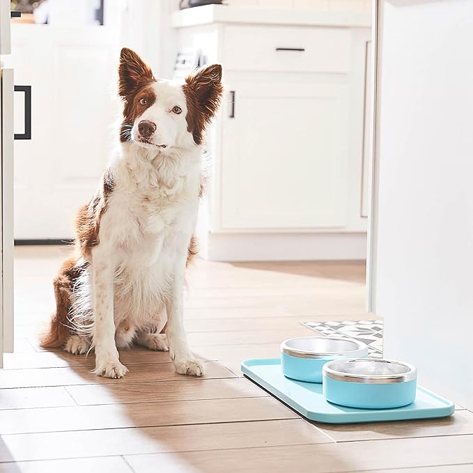 Trot Pets Premium Dog Bowls | Stainless Steel Bowl Set for Small, Medium, or Large Dogs | Non-Slip Food and & Water Slow Feeder | Durable, BPA-Free, Anti-Skid, Dishwasher Safe (Sky, Medium)
