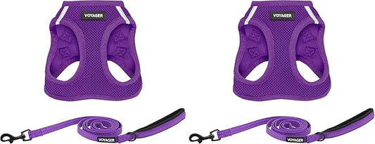 Voyager Step-in Air All Weather Mesh Harness and Reflective Dog 5 ft Leash Combo with Neoprene Handle, for Small, Medium and Large Breed Puppies and Cats by Best Pet Supplies - Purple, XXXS