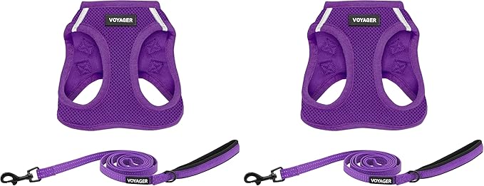 Voyager Step-in Air All Weather Mesh Harness and Reflective Dog 5 ft Leash Combo with Neoprene Handle, for Small, Medium and Large Breed Puppies by Best Pet Supplies - Leash Harness (Purple), L