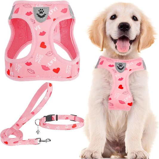 PUPTECK Adjustable Dog Harness Collar and Leash Set Step in No Pull Pet Harness for Small Medium Dogs Puppy and Cats Outdoor Walking Running, Soft Mesh Padded Reflective Vest Valentine Harnesses
