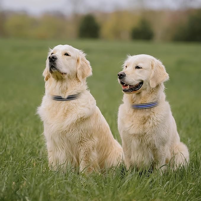 Modern Stylish 3/4" E Collar Replacement Strap with Quick Release, Adjustable for Small to Large Dogs, Replacement for Shock Collar (Black & Blue)