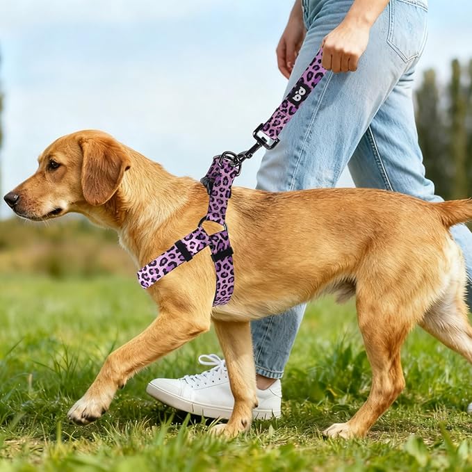 QQPETS Dog Harness Leash Set Adjustable Heavy Duty No Pull Halter Harnesses for Small Medium Large Breed Dogs Back Clip Anti-Twist Perfect for Walking