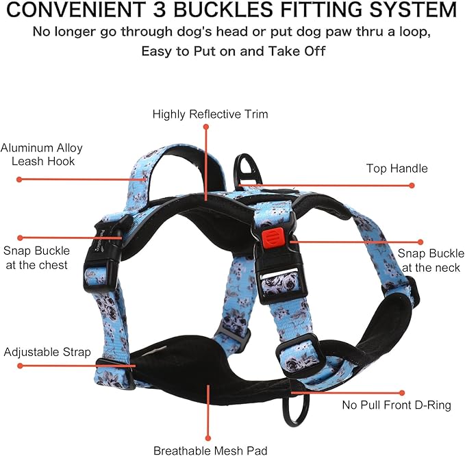 Petmolico No Pull Dog Harness Set with Leash Attachment Easy Control Handle Reflective Harness Vest Small Breed, Puppy Vest and Leash Set with Poop Bag Holder, Small - White Rose