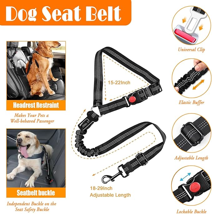 No Pull Dog Harness, Collar & Leash Set | Includes Dog Seat Belt, Collapsible Bowls & Poop Bag Dispenser. Ideal for Training, Walking, Hiking. Fits Small to Large Dogs(Orange-XL)