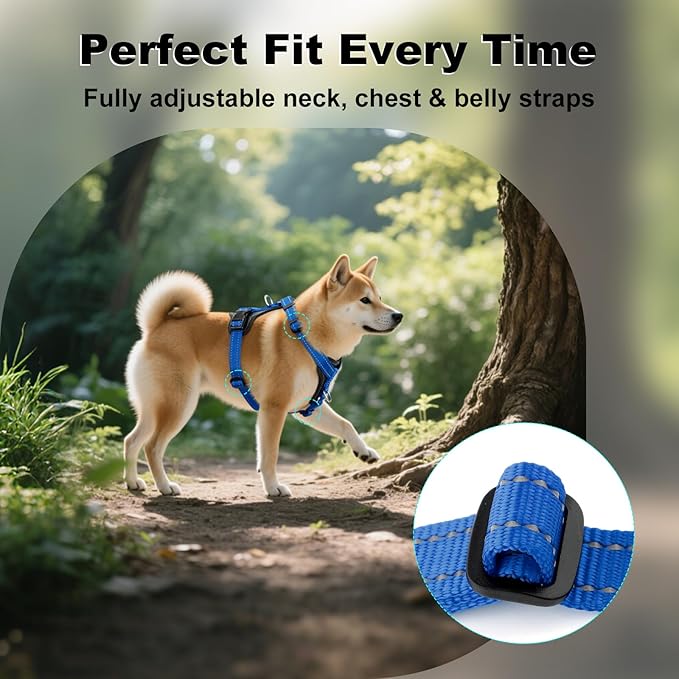 Plutus Pet Adjustable No Pull Dog Harness with Leather Accents, Heavy Duty Reflective Nylon Vest for Training, Hiking, Easy Walk Harness for Small, Medium, Large Dogs (Royal Blue, S)