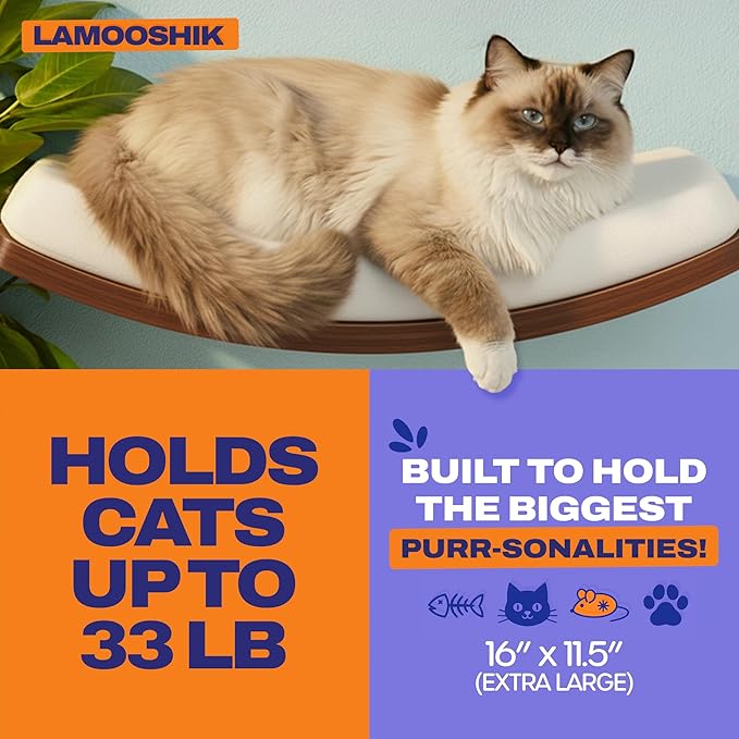 Cat Wall Shelves, Walnut Finish – Floating Cat Furniture with Curved Bed & Steps | Modern Minimalist Wood Climbing Shelves Set of 4 for Indoor Cats, Sturdy Wall-Mounted Design