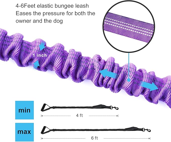 6FT Highly Reflective Heavy Duty Elastic Bungee Medium and Large Dog Leash Shock Absorbing with Comfortable Padded Handle and Traffic Handle Suitable for Training
