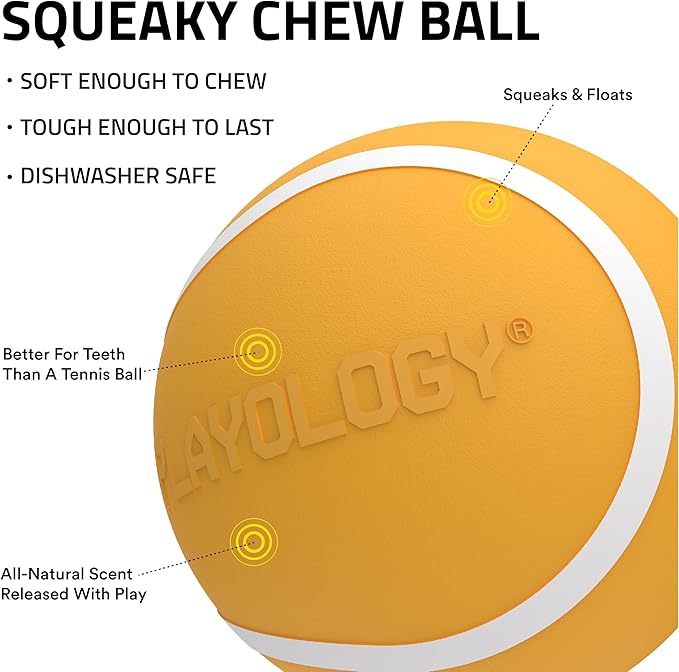 Playology Dog Toys | Squeaky Chew Ball - Bouncy Durable Floating Fetch Ball for Dogs | Jumbo Cheddar Cheese Scented Toy - Easy to Clean and Made from Non Toxic Materials