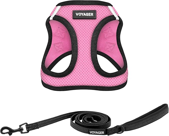 Voyager Step-in Air All Weather Mesh Harness and Reflective Dog 5 ft Leash Combo with Neoprene Handle, for Small, Medium and Large Breed Puppies by Best Pet Supplies - Pink/Black Trim, XX-Small