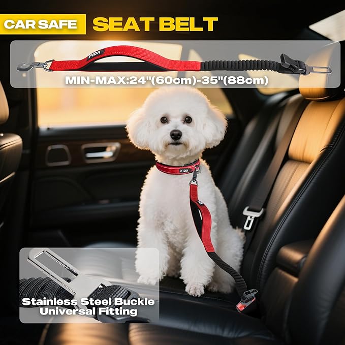 Fida 6-in-1 Hands Free Dog Leash Heavy Duty, Reflective Wasit Corssbody Dog Leash with Car Seat Clip | Adjustable for Running Hiking | Shock Absorbing Bungee, Dual Padded Detachable Handles (Red)