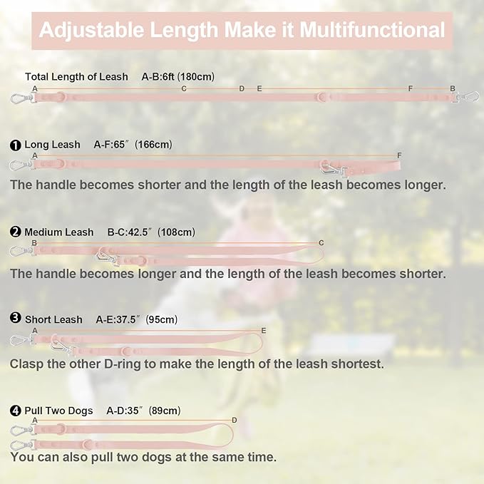 Wisedog Waterproof Dog Leash – 5ft/6ft Adjustable with 2 Metal Swivel Hooks, Easy to Clean Dog Leashes for Small, Medium, Large Breed Dogs (Gossamer Pink,L)