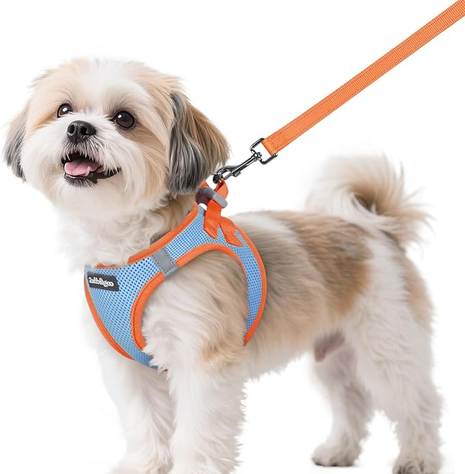 rabbitgoo Dog Harness Small Sized and Leash Set, Step-in Breathable Pet Harness, Soft Walking Reflective Puppy Vest for Small Dogs, Light Blue & Orange, S