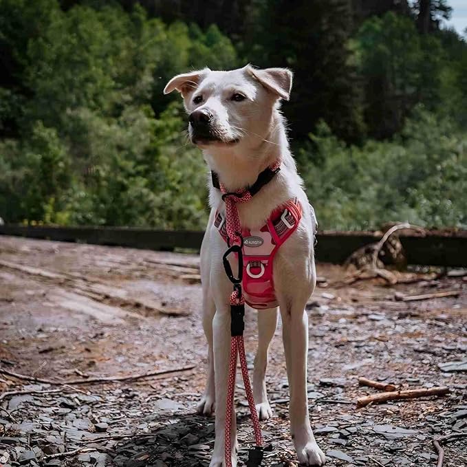 AUROTH Tactical Dog Harness for Small Medium Large Dogs No Pull Adjustable Pet Harness Reflective K9 Working Training Easy Control Pet Vest Military Service Dog Harnesses (XL, Pink Camo)