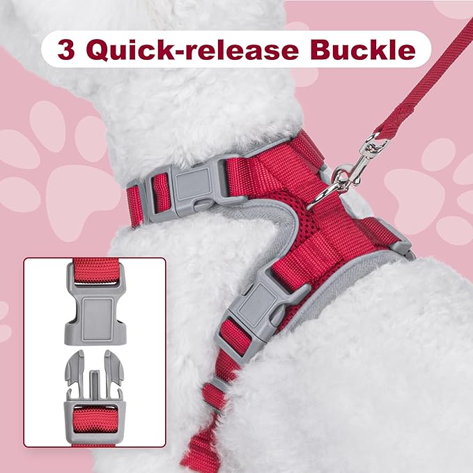 Small Dog Harness and Leash Set，No Pull Adjustable Pet Harness for Small Dogs ，Breathable Mesh Reflective Dog Vest Harness (Red, XXS)