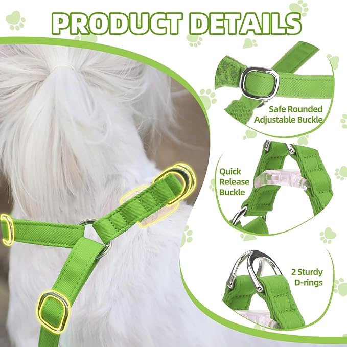 PUPTECK Dog Harness and Leash Set Small Sized, Step-in Cute Puppy Harness, Soft Lightweight Padded Vest, Escape Proof No Pull Pet Harnesses Easy for Walking, Green, S