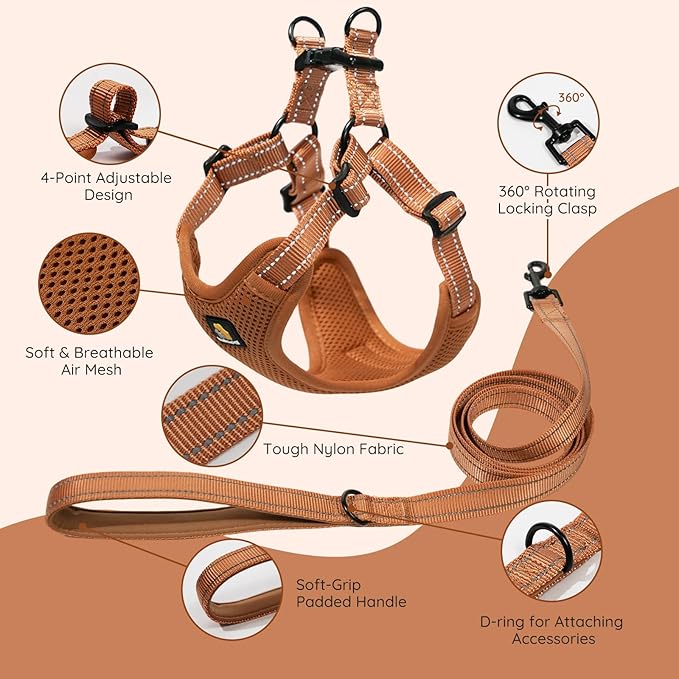 BELLA & PAL Adjustable Step-in Dog Harness, Puppy No-Pull Vest with Leash Set for XS/Small & Medium Dog, Breathable All-Weather Mesh, Reflective Strip, Secure Hook & Loop, Buckle Closure (Mokka, M)