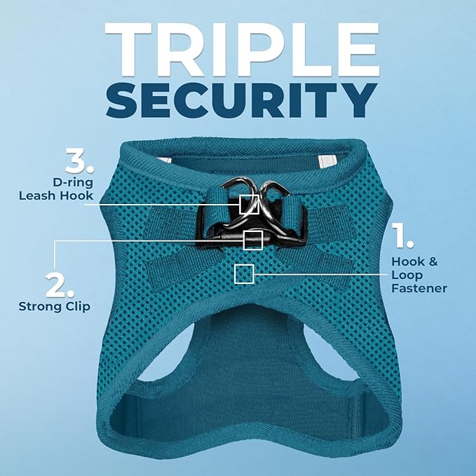 Voyager Step-in Air All Weather Mesh Harness and Reflective Dog 5 ft Leash Combo with Neoprene Handle, for Small, Medium and Large Breed Puppies by Best Pet Supplies - Set (Turquoise), S