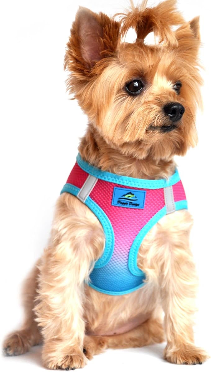Doggie Design No Choke Dog Harness - Simple Step-in and Go Dog Vest for Small, Medium, and Large Breeds - Breathable Mesh Polyester Pet Harness - Sugar Plum - XL