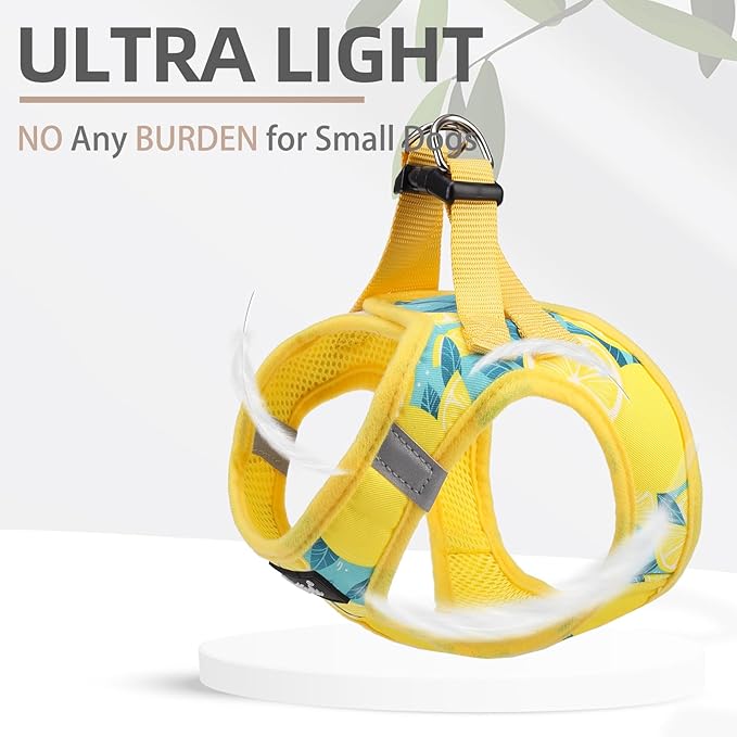 PUPTECK Dog Harness and Leash Set for Small Medium Dogs No Pull Step-in Soft Mesh Puppy Cat Vest Harnesses Reflective at Night, Yellow Lemon, M