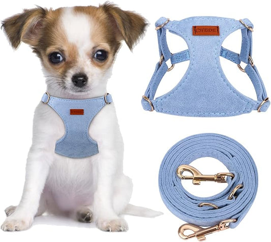 CHEDE No Pull Puppy Harness and Multifunction Dog Leash Set- 8 Colors Soft Adjustable No Choke Escape Proof Cute,Lightweight Pet Vest Harness for Small and Medium Dog (XS, Blue)