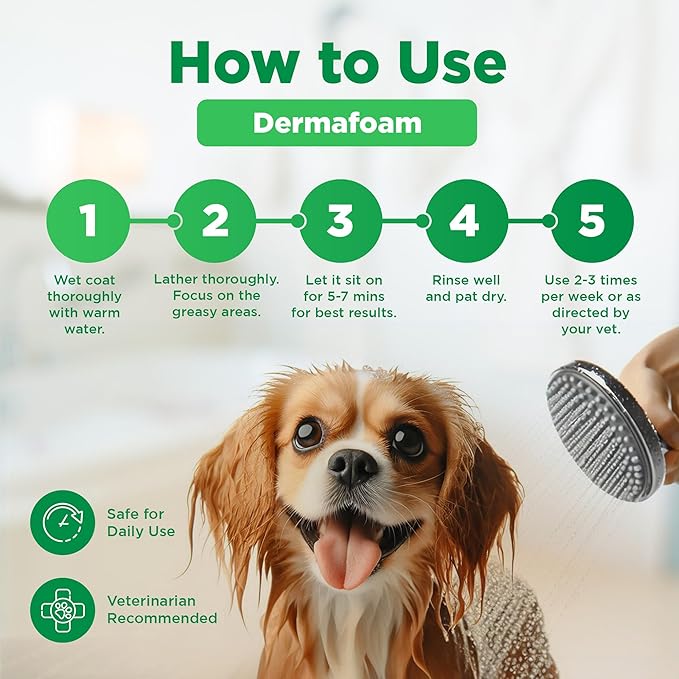 Dermafoam 16.9oz Chlorhexidine Shampoo for Allergies, Itching, Skin and Coat Supplement, Helps Shedding, Hot Spots, Paw Irritation, Rashes Deodorizing and Cleansing Dog Shampoo & Grooming Supplies
