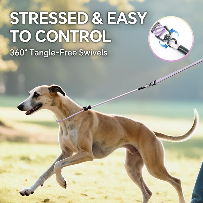 QQPETS Adjustable Slip Lead Dog Leash, Hands Free Waist Leash for Dog Walking, Reflective Training Lead with 360° Swivel Anti-Tangle, 4-7 ft Length for All Breeds