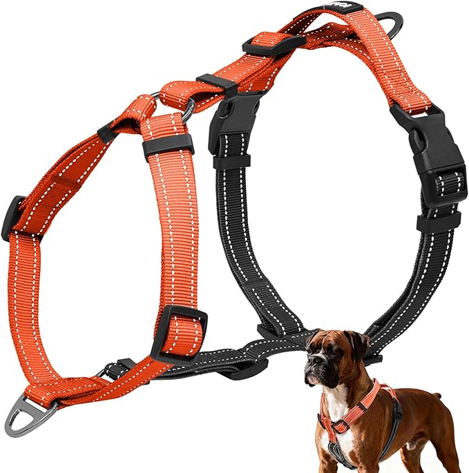 No-Pull Harness,Y-Shaped Design,Buckle-Neck Balance Harness with Reflective Stitching, Ideal for Dog Training and Night Walking, Padded Handle, Durable High-Tensile Nylon-Orange-M